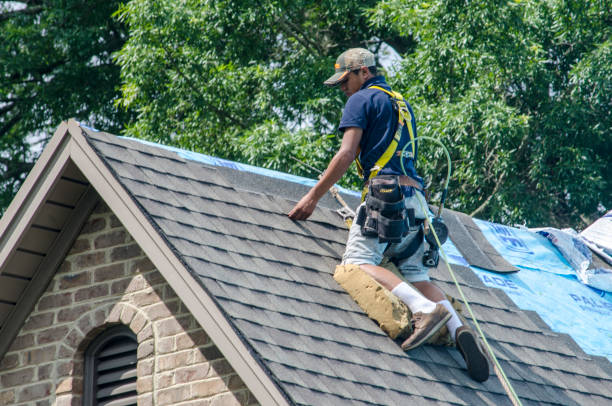 Best Shingle Roofing Installation  in Susan Moore, AL