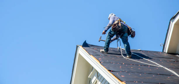 Best Roof Gutter Cleaning  in Susan Moore, AL